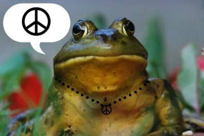 Peace Out, Frog - awaytogarden.com