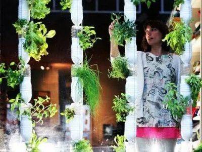 Windowfarms: grow a micro-gardening dream - awaytogarden.com
