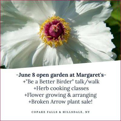 June 8 garden open, plant sale, birding talk & walk/workshop, herb cooking and flower classes - awaytogarden.com - county Hudson - county Valley