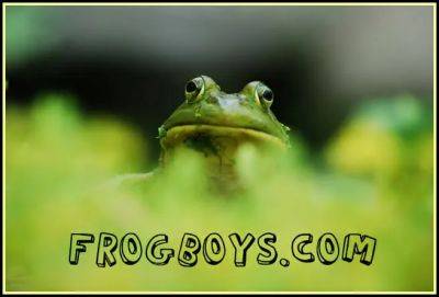 Slideshow: the beloved frogboys - awaytogarden.com
