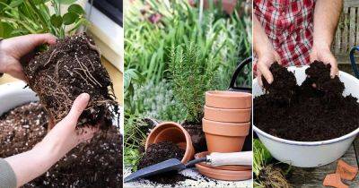 11 Best Ways on How to Recharge Your Old Potting Soil - balconygardenweb.com
