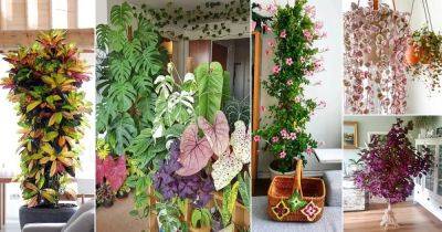 42 Striking Interior Decor Ideas with Colorful Houseplants - balconygardenweb.com