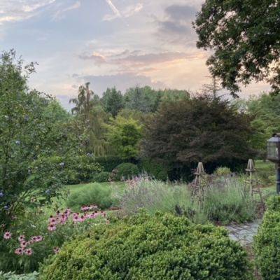 Summer in Kristen’s Garden - finegardening.com - Japan - state Virginia - county Garden