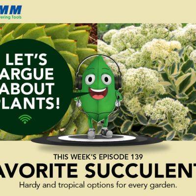 Episode 139: Favorite Succulents - finegardening.com - city Chicago