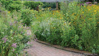 Native Prairie Plants for Any Size Garden - gardengatemagazine.com - Canada - state Texas - state Colorado - state Indiana