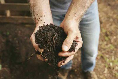 Organic vegetable gardening success stories, with joe lamp’l - awaytogarden.com - city Atlanta