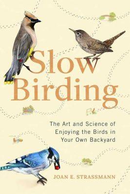 Really watching those birds: ‘slow birding,’ with joan strassmann - awaytogarden.com - Washington