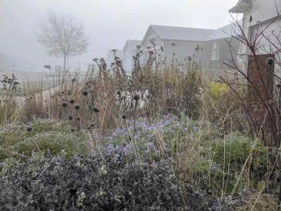 Natural garden design, with benjamin vogt - awaytogarden.com