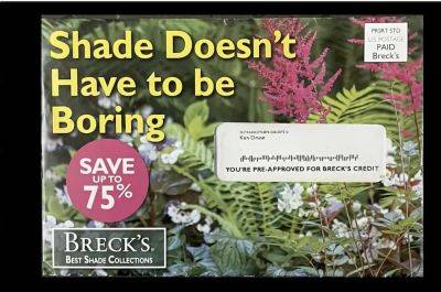 Tips for the shade gardener, from ken druse - awaytogarden.com - state New Jersey