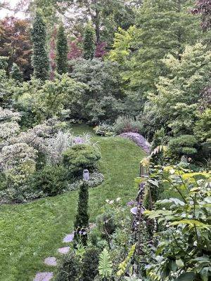 How texture and variegation beat august’s garden lull, with ken druse - awaytogarden.com - state New Jersey