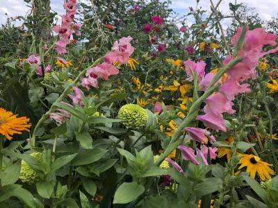 Dividing and editing perennials, with wethersfield’s toshi yano - awaytogarden.com - India - state New York - county Hudson - county Valley