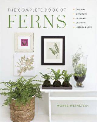Ferns as houseplants, with nybg’s mobee weinstein, author of ‘the complete book of ferns’ - awaytogarden.com - city New York - county Garden