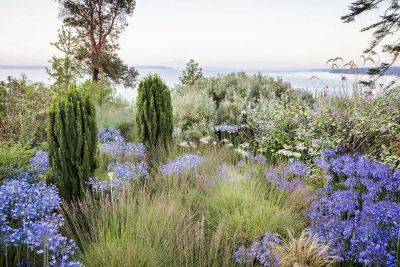 Lessons learned in making a garden: ‘windcliff,’ with dan hinkley - awaytogarden.com - Washington