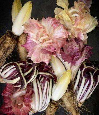 Seed series: irresistibly tasty varieties to try, with lane selman of culinary breeding network - awaytogarden.com - state Oregon