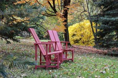 Fall cleanup with ecology in mind, with doug tallamy - awaytogarden.com - New York - state Delaware