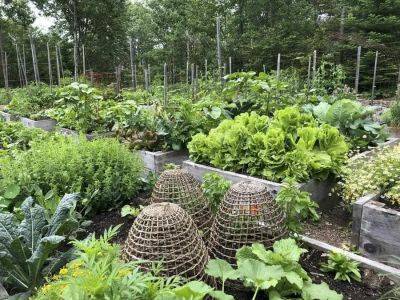 Extend your vegetable garden season, with niki jabbour - awaytogarden.com - Canada
