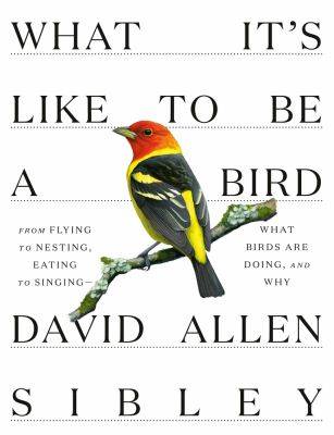 ‘what it’s like to be a bird:’ a conversation with david sibley - awaytogarden.com - state Massachusets