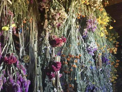 Flowers for drying: which ones, and how-to, with jenny elliott - awaytogarden.com - county Hudson - county Valley
