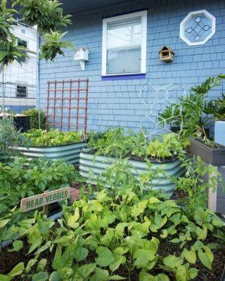 Raised beds, grow bags and more, with epic gardening’s kevin espiritu - awaytogarden.com - New York
