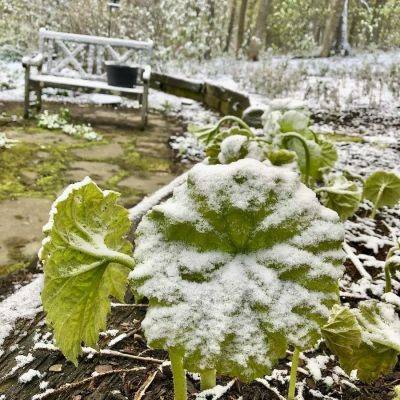 Really? a may 9 snow on top of everything else this spring? - awaytogarden.com - state New York - county Hudson - county Valley