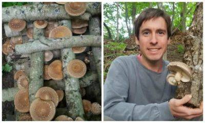 Growing mushrooms (and how fungi grow themselves), with john michelotti - awaytogarden.com - India - state New York