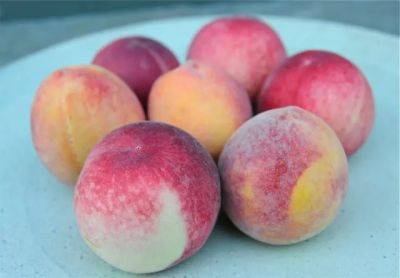 Farm-fresh peaches, frozen to perfection - awaytogarden.com