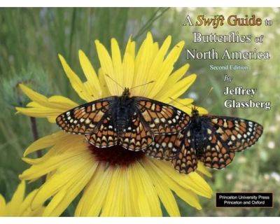 Learning to i.d. butterflies, with dr. jeffrey glassberg - awaytogarden.com - Usa