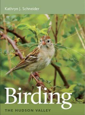 Better birding and fascinating sparrows, with kathryn schneider - awaytogarden.com - Usa - New York - state New York - county Hudson - county Valley