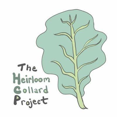 Tuning in to heirloom collards, with chris smith - awaytogarden.com