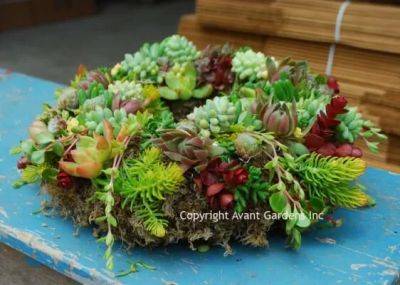 Making succulent pots and wreaths, with katherine tracey of avant gardens - awaytogarden.com - city Boston - state Massachusets