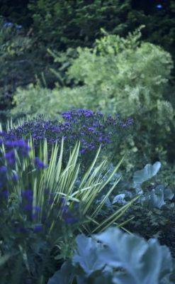 Top late perennials, + smart care tips for a garden to last through fall, with kathy tracey - awaytogarden.com - state Massachusets