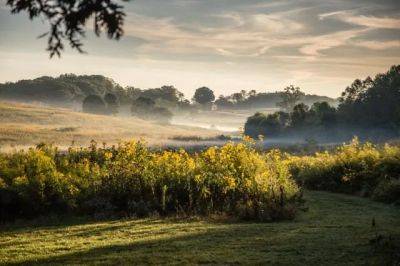Making meadows, with longwood gardens’ tom brightman - awaytogarden.com - state Pennsylvania - county Garden