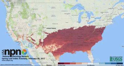 How early is spring? ask the usa national phenology network - awaytogarden.com - Usa - state Arizona