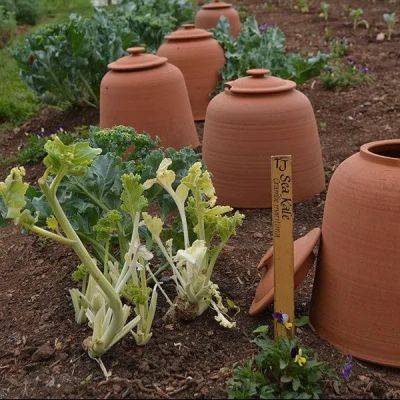 Lessons from thomas jefferson’s vegetable garden, with peggy cornett - awaytogarden.com - Usa - Britain