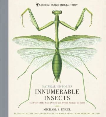 The miraculous world of ‘innumerable insects,’ with dr. michael engel - awaytogarden.com - Usa