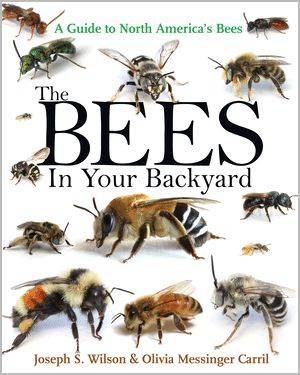 ‘the bees in your backyard,’ with olivia carril - awaytogarden.com - state Utah - state New Mexico