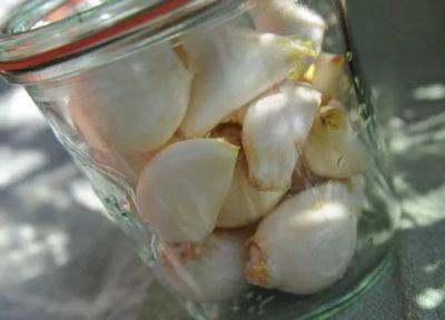 Rescue operation: freezing stored garlic, onions - awaytogarden.com