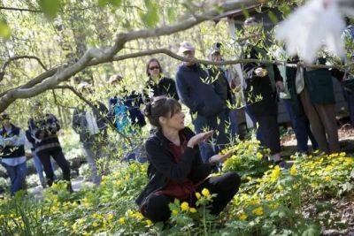 Garden open days: a treat for guests, an education for hosts - awaytogarden.com - Usa