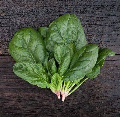 How to grow spinach, with tom stearns - awaytogarden.com - state Vermont