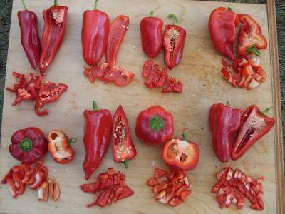 How to grow a wide world of peppers, with adaptive seeds’ sarah kleeger - awaytogarden.com - Germany - Mexico - state Oregon