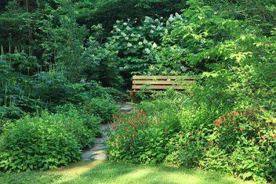 The garden as habitat, with doug tallamy - awaytogarden.com - state Delaware