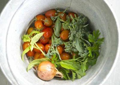 Margaret on wnyc radio: making 'tomato junk,' a 'last chance food' - awaytogarden.com - India - Mexico - city New York