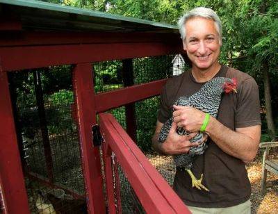 A raised-bed garden survives ‘killer compost’ - awaytogarden.com - city Atlanta