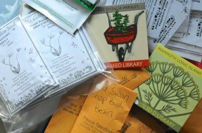 My 2013 seed order, heavy on the legumes - awaytogarden.com - Italy - county Hudson - county Valley
