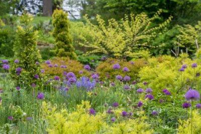 Design lessons from chanticleer, with bill thomas - awaytogarden.com - state Pennsylvania - county Garden
