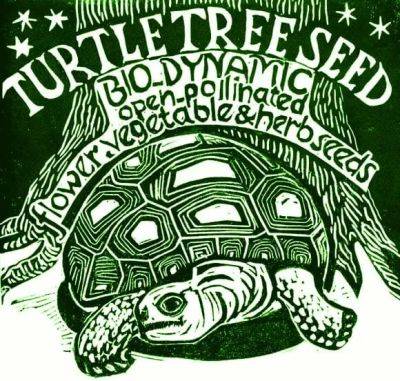 Seedy saturday march 25: join me for workshops at turtle tree seed - awaytogarden.com - New York