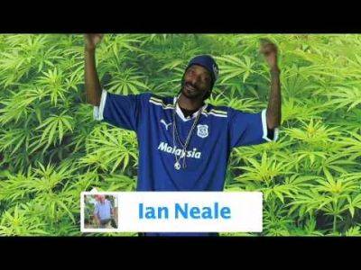 Snoop on giant rutabaga and other ‘vegetation’ - awaytogarden.com - Britain