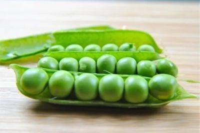 Peas lost to pests: recipes for dinner + disaster - awaytogarden.com