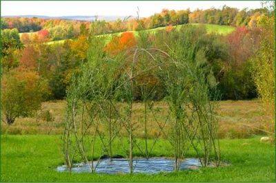 Creating living willow structures, with michael dodge - awaytogarden.com - New York - state Vermont - county Garden - state Delaware
