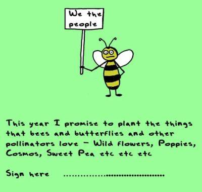 Doodle by andre: pollinators unite! - awaytogarden.com - Jordan